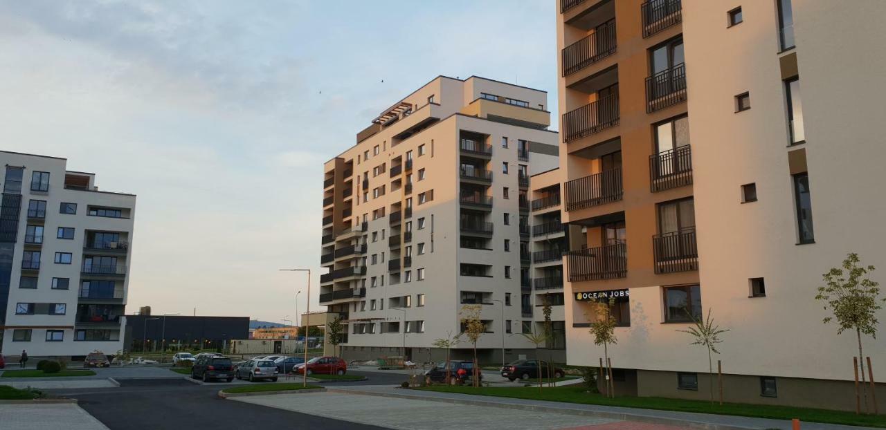 Elegant Sophia'S Apartment Braşov Exterior foto